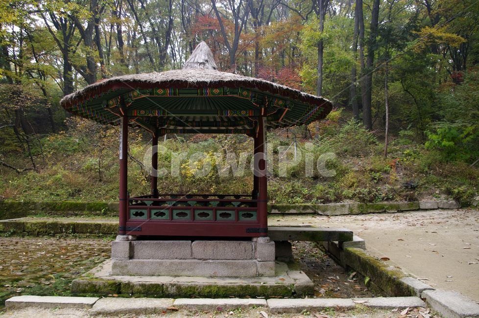 청의정,창덕궁후원,고궁,건축,전통건축,traditional,전통,가을,fall,나무,식물,plant,단풍,한국전통,한국문화,korean traditional,korean culture,건축물,건물외관,exterior,building,structure,architecture,construction