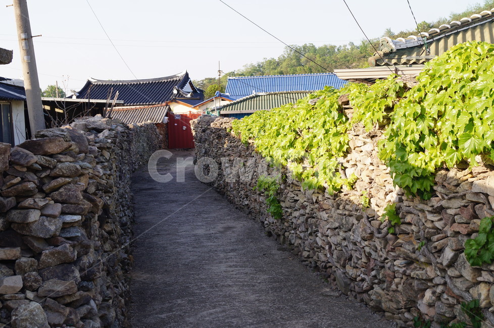 돌담,마을길,울타리,고향풍경,돌담길,고흥마을길,시골,마을,풍경,landscape,country,rural,town,골목길,alley,한국전통,한국문화,korean traditional,korean culture,outdoors,옥외,nature,자연