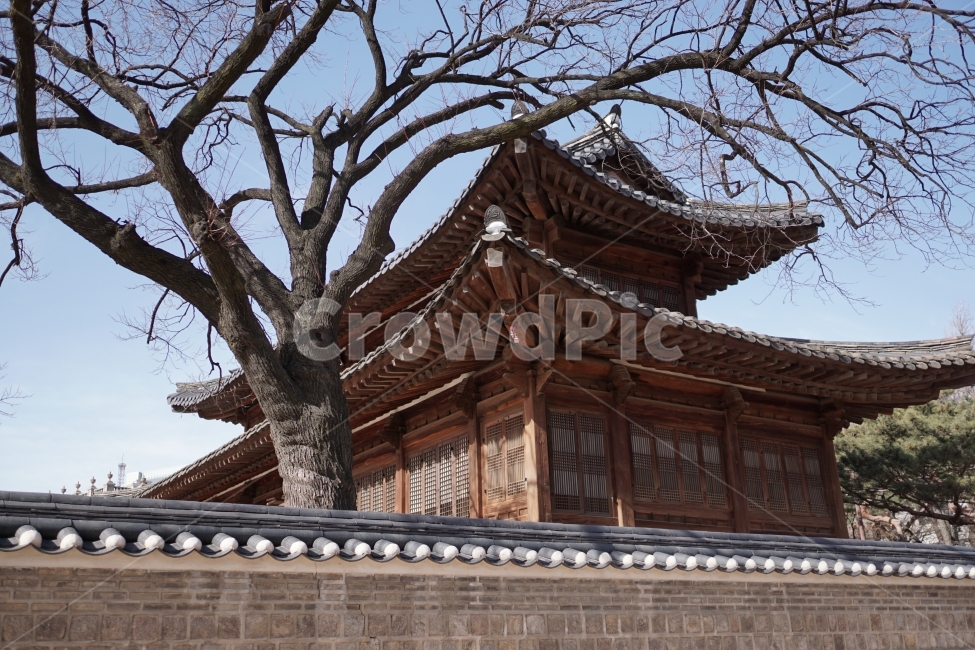 한양,한양도성,궁궐,궁전,조선시대,조선왕조,문화재,역사,히스토리,history,겨울,winter,계절,season,한옥,지붕,기와,처마,한국,코리아,korea,한국적인,한국문화,문화,한국전통,전통,풍경,landscape,건축,건물,토목,서울,seoul,스냅,스냅사진,감성,감성사진,snap,snapshot,성벽,왕궁,덕수궁,담벽,담벼락,경운궁,석어당,나무,나뭇가지,역사유적지,국사,한국사,겨울,계절,winter,season,한국전통,한국문화,korean traditional,korean culture,랜드마크,landmark,tourist attraction,한국랜드마크,한국관광지,한국명소,korea landmark,korea tourist attraction,건축물,건물외관,exterior,building,structure,architecture,construction