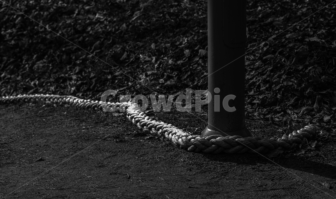 길,밧줄,경계,표시,줄,낙엽,공원,말뚝,흑백,모노톤,monochrome,black and white