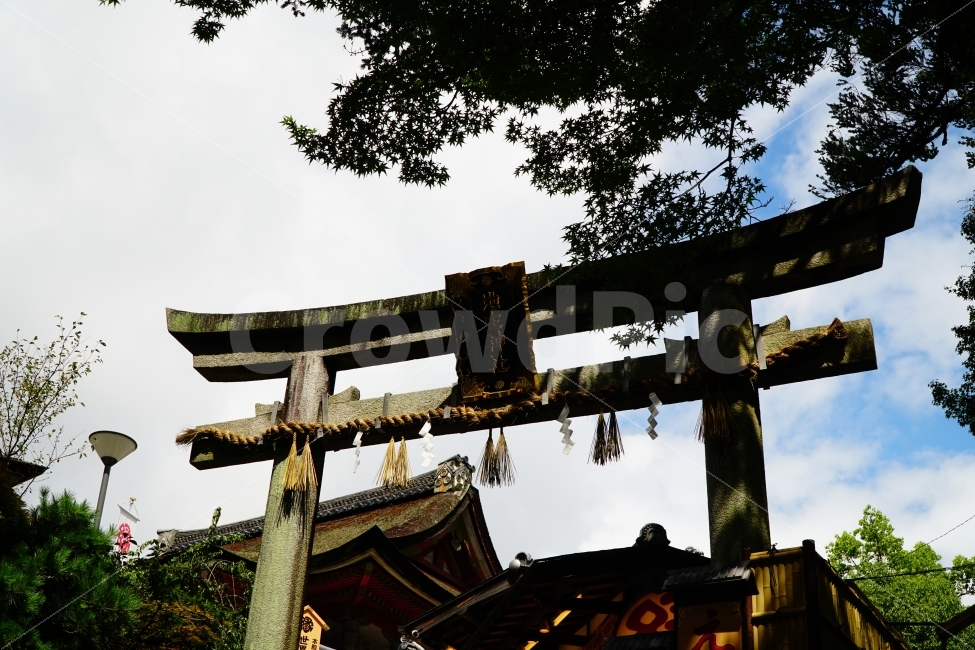 키요미즈데라,기요미즈데라,청수사,일본,일본여행,외국,외국여행,해외,해외여행,japan,travel,일본문화,일본문화재,신사,사찰,절,불교,진자,건물,목조,목조건물,목조건축,건축,유적,유적지,지붕,기와,일본식가옥,일본식한옥,하라이,구름,하늘,history,히스토리,건축물,건물외관,exterior,building,structure,architecture,construction,해외,외국,세계,foreign,oversea,world,랜드마크,landmark,tourist attraction,종교,신앙,religion,belief,faith