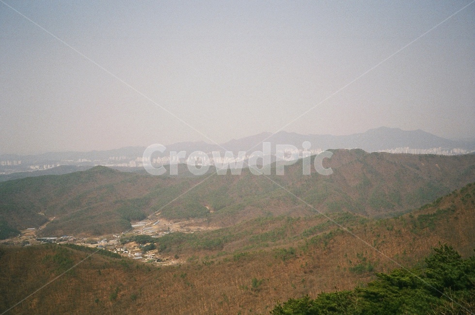산,등산,광교산,나무,필름카메라,자연,풍경,nature,landscape,outdoors,옥외,경치