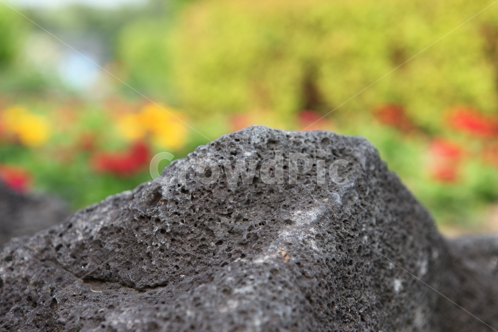 바위,rock,감성,화사함,현무암,자연,풍경,nature,landscape,제주도,jeju,jeju island,soil,흙