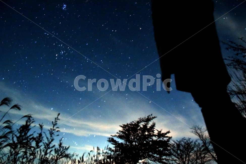 가을,황매산,야경,별,들판,starrynight,자연,풍경,nature,landscape,야경,밤,nightscape,night