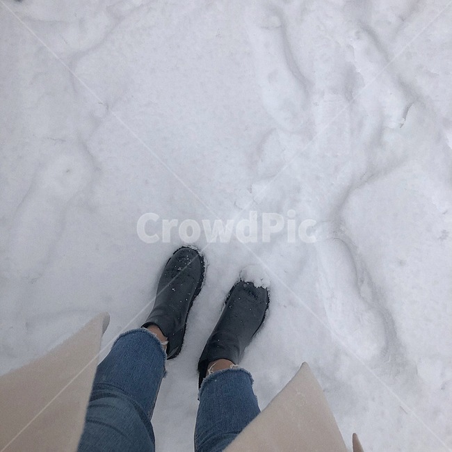 눈,눈밭,snow,감성,nature