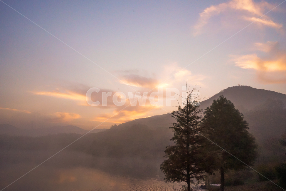 일출,여명,호수,나무,산,구름,하늘,안개,물안개,자연,풍경,nature,landscape,tree,plant,식물,fir,전나무
