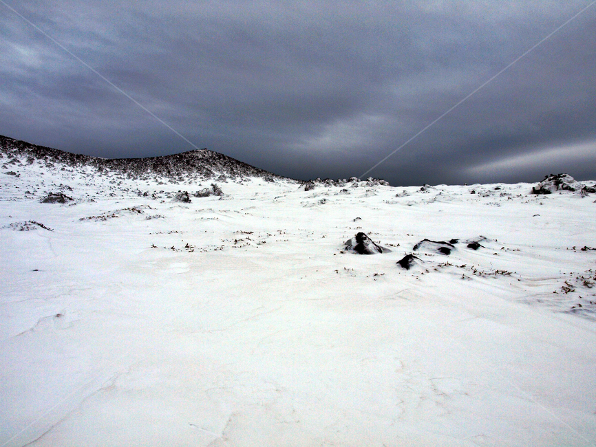 어리목,한라산,제주도,겨울,설산,설경,눈,겨울,계절,winter,season,자연,풍경,nature,landscape,outdoors,옥외,mountain,산