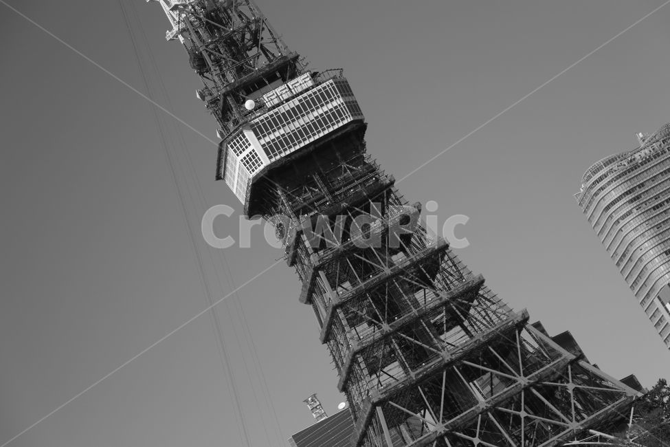 일본,도쿄,도쿄타워,흑백,흑백사진,감성,tokyo,tokyotower