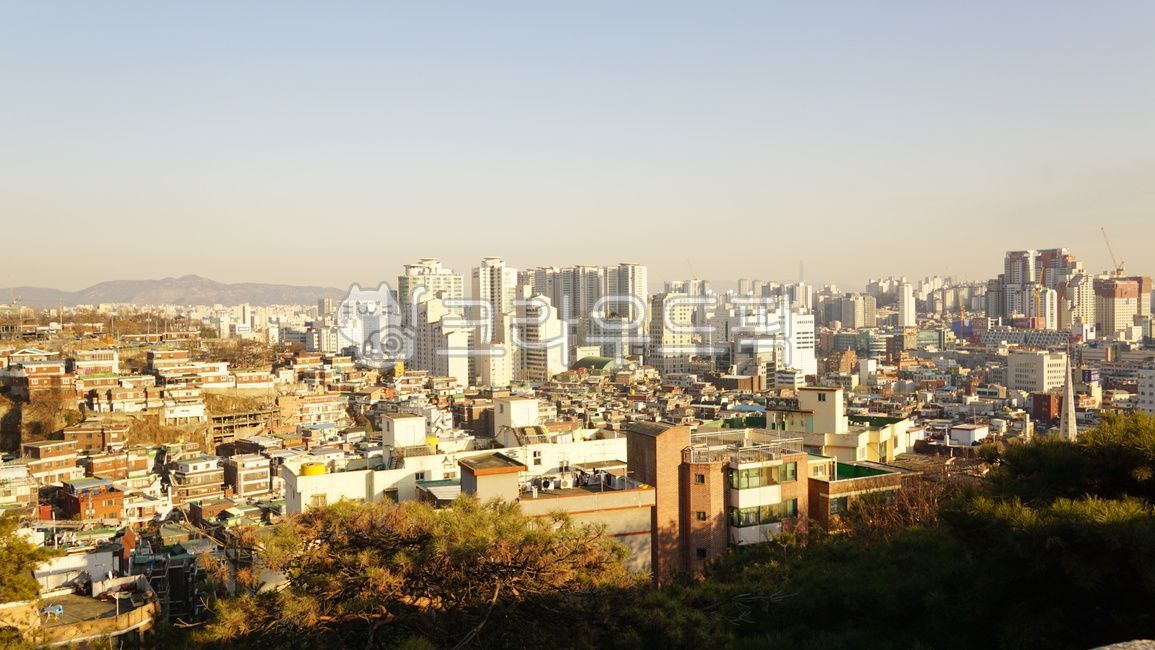 Outfocusing,tree with unknown name,serenity,sunset,autumn