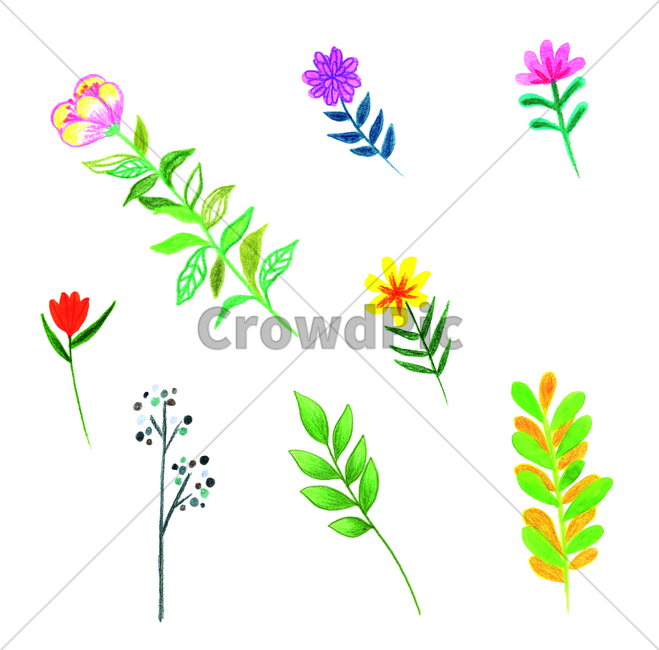 handdrawing,flowers,flower,painting,pastel,leaf,foliage,꽃,잎,색연필,coloredpencil,art,미술,graphics,pattern,무늬,floraldesign,플로랄디자인,그래픽,일러스트레이션,graphic,illustration