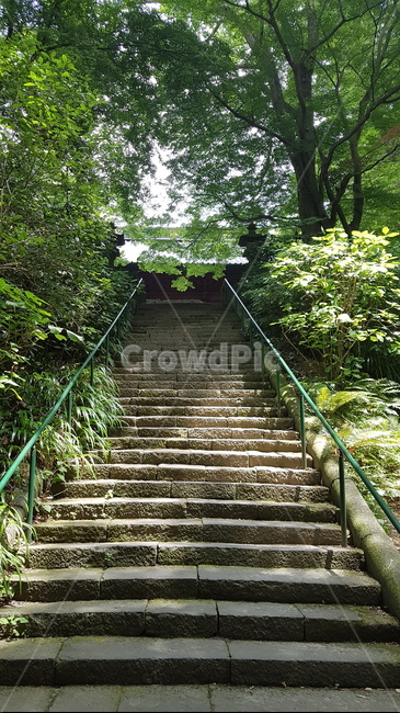 staircase,계단,garden,정원,outdoors,옥외