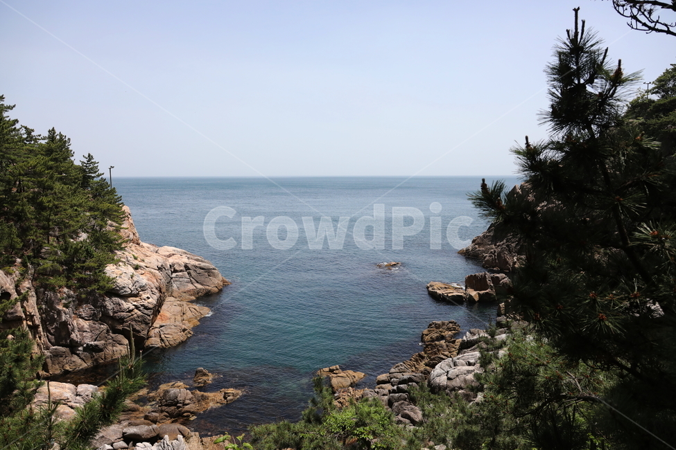 하조대,동해안,바다,바위,해안,풍경,전망대,자연,풍경,nature,landscape,한국자연풍경,한국자연경관,korea nature landscape,promontory,곶,plant,식물,tree,나무