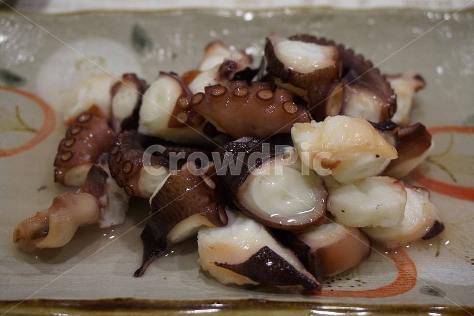문어,숙회,문어숙회,씨푸드,술안주,안주,소주,야식,회식,음식,푸드,회,해산물,삶다,빨판,해물,식감,탱탱,음식,식재료,요리,food,cook,meal,dishes,food reserves,수산물,해산물,fishery products,seafood