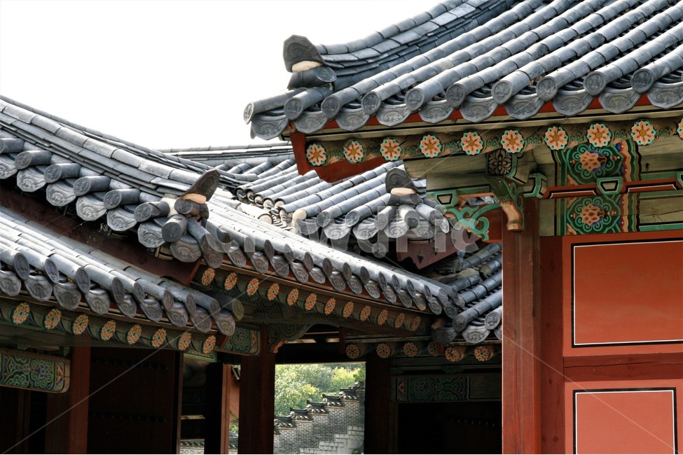 기와,지붕,창경궁,처마,단청,한국전통,한국문화,korean traditional,korean culture,건축물,건물외관,exterior,building,structure,architecture,construction