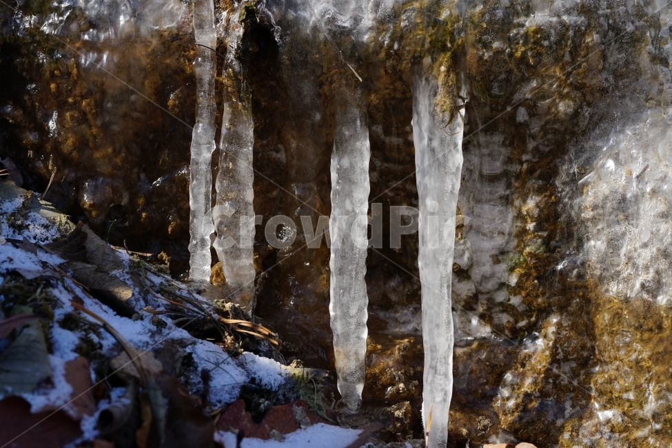 겨울,계절,season,winter,얼음,고드름,눈,눈쌓인,눈이쌓인,눈이내린,눈내린,풍경,landscape,자연,nature,춥다,추운,cold,얼다,ice,snow,추위,시냇물,계곡,협곡,산속,산길,겨울,계절,winter,season