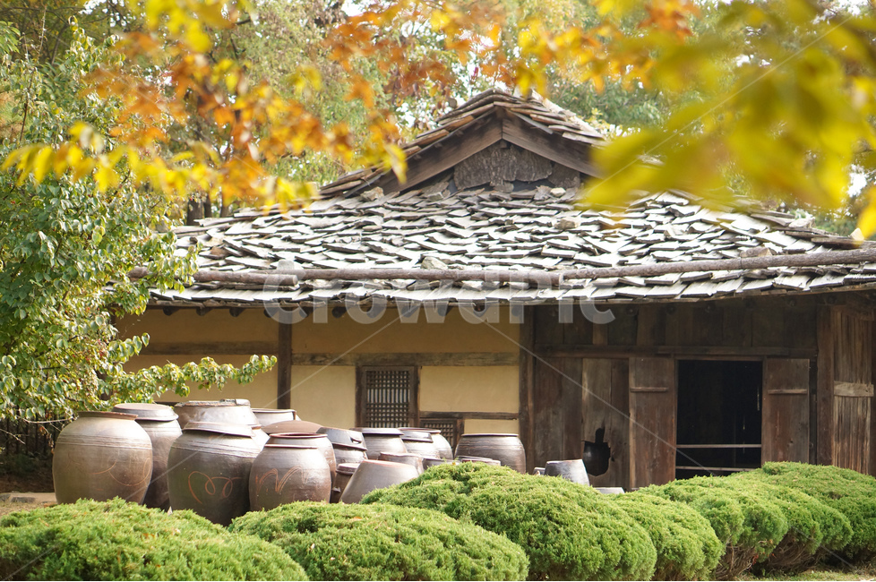박물관,너와집,장독대,나무,가을,풍경,시골,마을,풍경,landscape,country,rural,town,한국전통,한국문화,korean traditional,korean culture