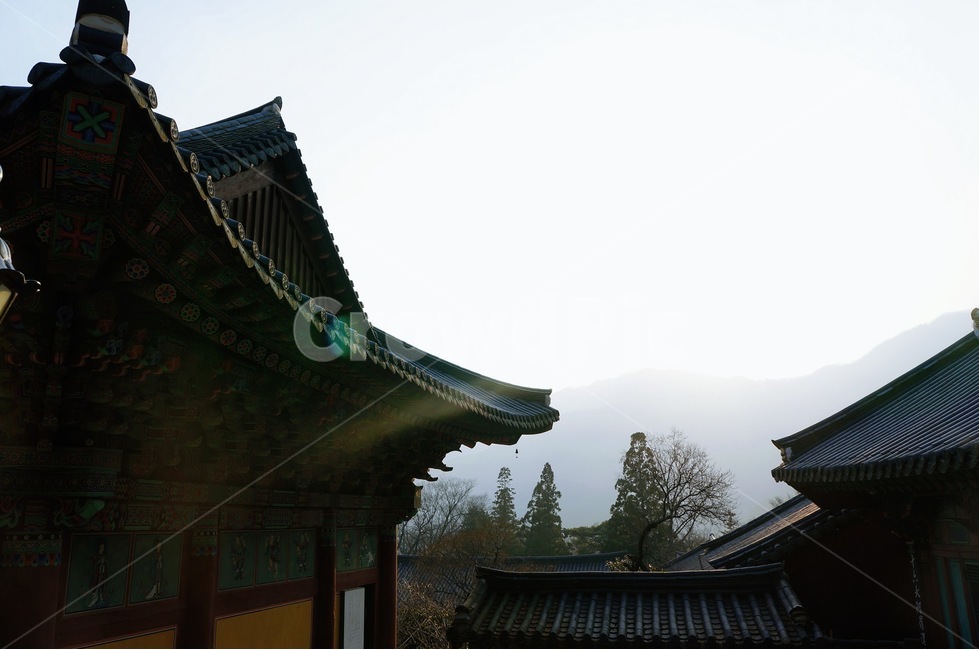 절,사찰,산,여명,감성