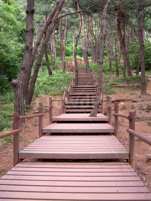산책로,산,등산로,길,목책,등산,나무,숲,산책,자연,풍경,nature,landscape,boardwalk,bridge,다리,building,건물