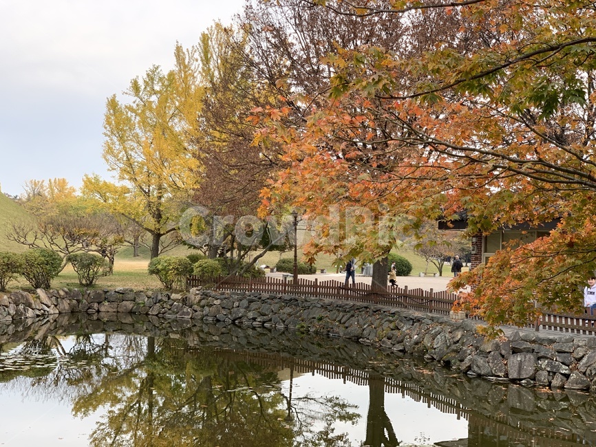 outdoors,옥외,nature,자연,풍경,landscape,view,경주,관광,관광명소,대릉원,한국,가을,연못,낙엽,touristattractioin,색깔,색상,color,fall,autumn,autumnleaves,pond,감성,feeling,koreantranditiona,plant,식물,tree,나무