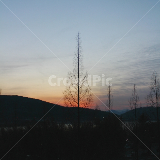 풍경사진,자연,석양,겨울,나무,하늘,색감,분홍,TREE,SKY,WINTER,자연,풍경,nature,landscape,outdoors,옥외,sky,dusk,황혼,sunset,일몰,red sky,붉은 하늘,dawn,새벽