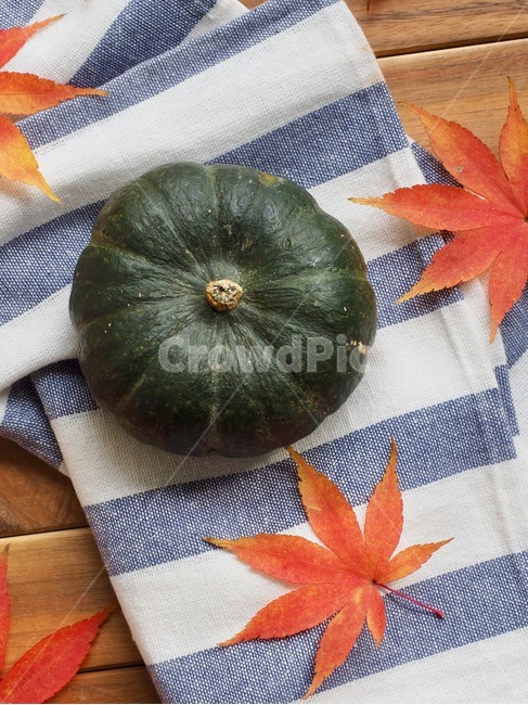 단호박,호박,단풍잎,잎사귀,가을,채소,유기농,음식,음식재료,웰빙,배경,sweetpumpkin,pumpkin,mapleleaf,leaf,autumn,vegetable,organic,food,foodingredients,wellbeing,background,가을,계절,fall,autumn,season,음식,식재료,요리,food,cook,meal,dishes,food reserves,채소,야채,vegetables,plant,식물,잎