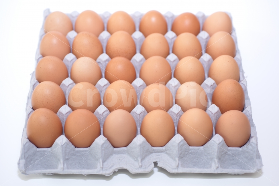 계란,달걀,음식,식재료,계란판,식료품,egg,단백질,담겨있는,보관,신선,식품,재료,오브젝트,요리,한판,흰배경,후레쉬,무농약,살충제,검사,인증,확인,30개,30알,생활,먹다,배경,하얀배경,음식,식재료,요리,food,cook,meal,dishes,food reserves,누끼,remove background