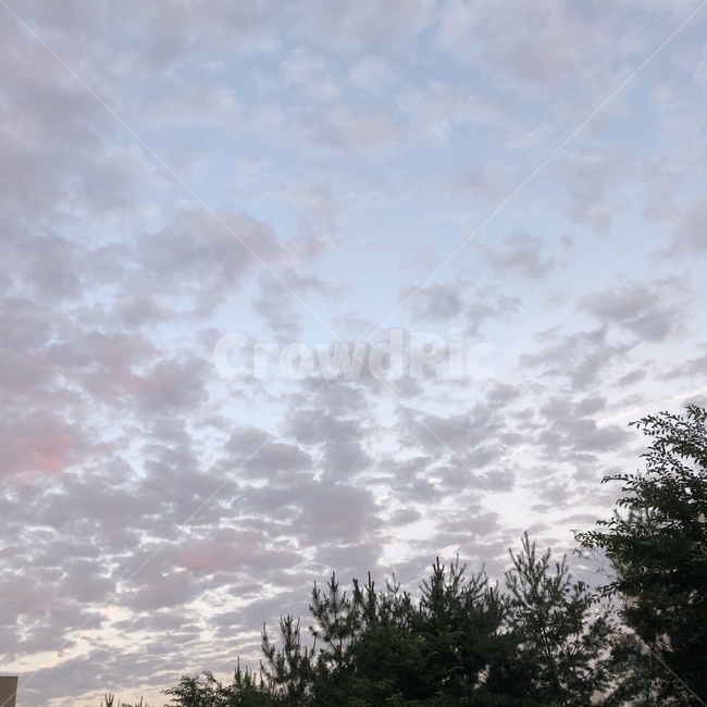 하늘,구름,sky,cloud,좋은날씨