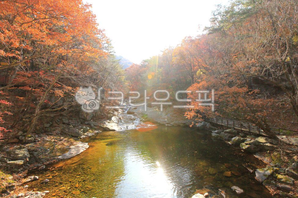가을,단풍,무주구천동,경치,야외,단풍나무,아름다운,어사길,구천동,물,계곡,하늘,water,햇빛,빛,Light,산,바위,나무,가을단풍,숲,나뭇잎,가을풍경,단풍풍경,계곡단풍,변색,국립공원,자연,옥외,outdoors,nature,scenery,landscape,autumn,fall,view,tree,mountain,forest,maple,rock,돌,beautiful,가을배경,배경,10월,명산,어사길단풍,덕유산단풍,풍경