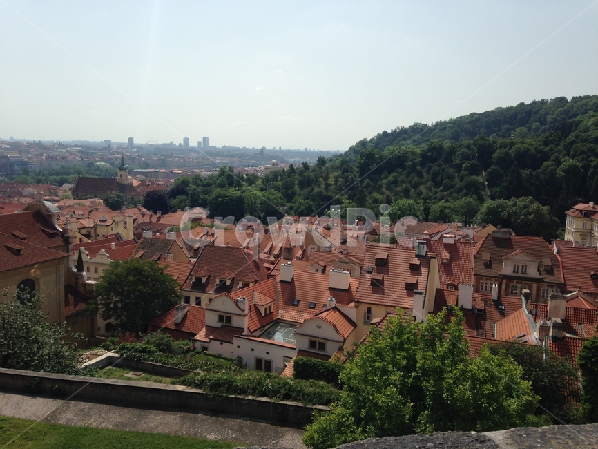 프라하,체코,풍경,유럽,praha,czech,마을,지붕,집