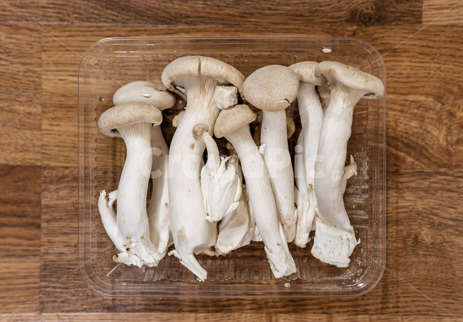 버섯,머쉬마루,야채,채소,채식,건강,비건,단백질,식감,식재료,신선,산지직송,맛,식단,점심,저녁,반찬,구이,진균류,버섯,mushroom,음식,식재료,요리,food,cook,meal,dishes,food reserves