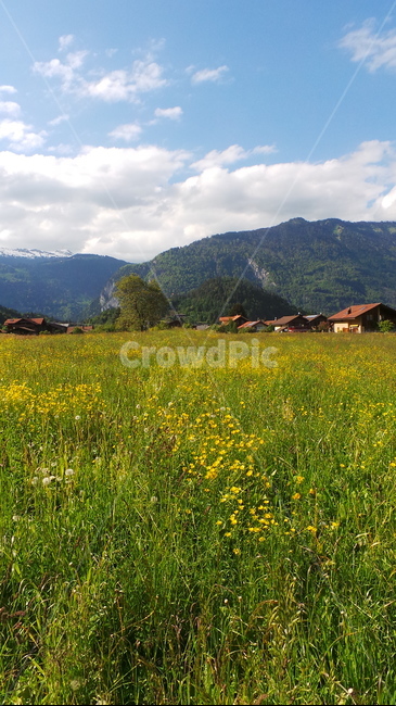 field,들,outdoors,옥외,grassland,목초지,nature,자연,mountain,산,마을,동네,village