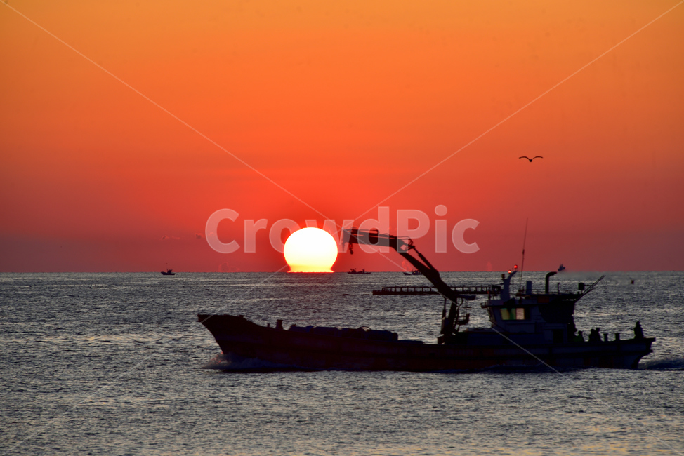 어선,일출,동해,갈매기,오메가,sunrise,sea,omega,fishingboat,산업,industry,industrial,어업,fishery,fishing industry,교통,교통수단,traffic,transportation