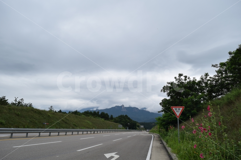 양보,도로,화살표,산,동해도로,꽃길,교통,교통수단,traffic,transportation,road,highway,고속도로,freeway,고속 도로