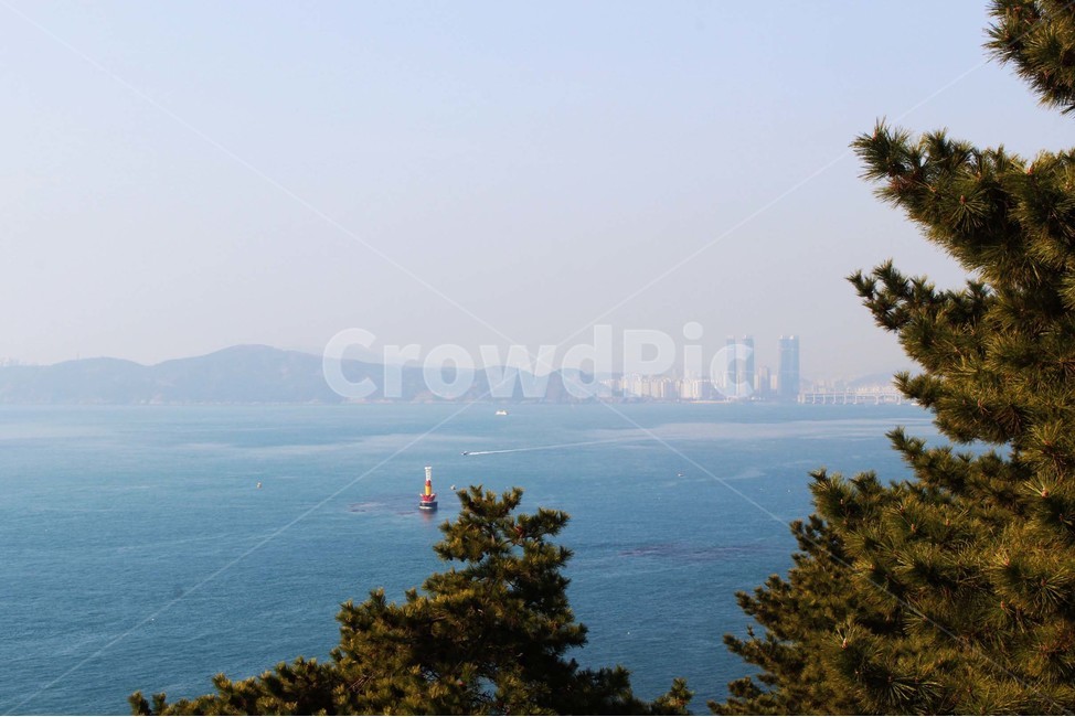 바다,바닷가,파도,해안가,수평선,자연,풍경,절경,해안도로,하늘,절벽,해안절벽,나무,윤슬,물거품,부산,겨울바다,파란색,바위,자연,풍경,nature,landscape,outdoors,옥외,land,땅,ocean,대양,water,물,sea,shoreline,해안선,tree,plant,식물