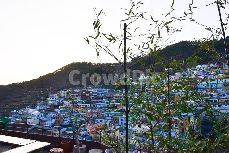 문화마을,산,대나무,집,감천