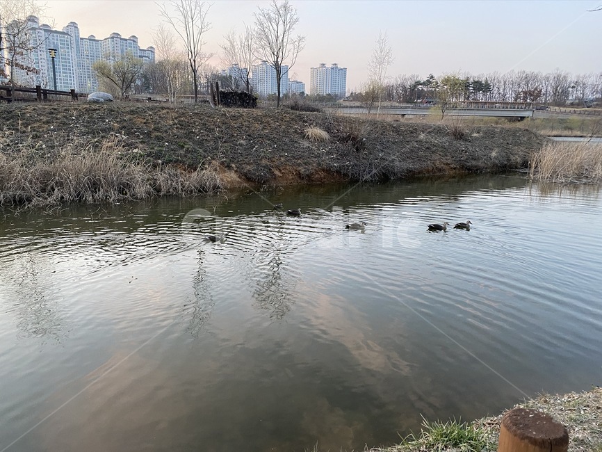 water,물,outdoors,옥외,nature,자연,파주