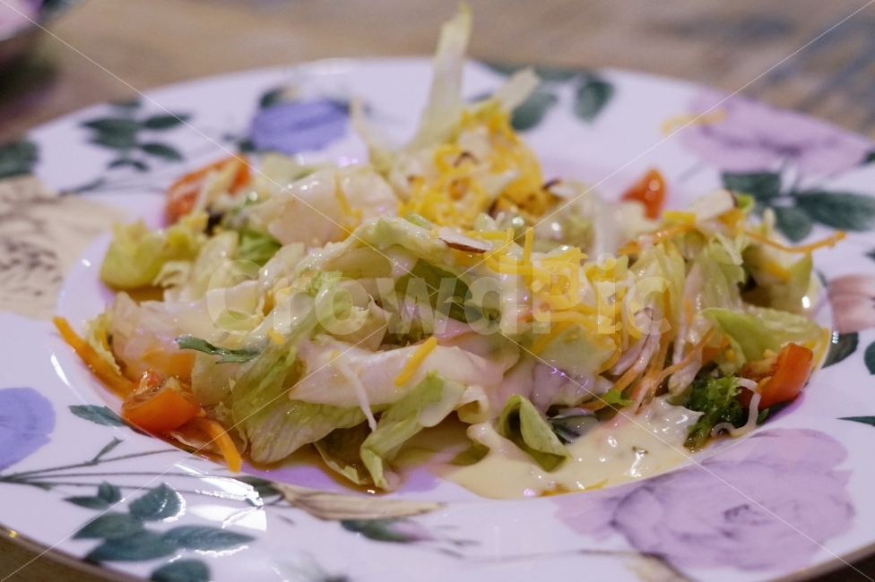 샐러드,음식,야채,채소,food,salad,요리,cook,dish,vegetable,음식,식재료,요리,food,cook,meal,dishes,food reserves,채소,야채,vegetables