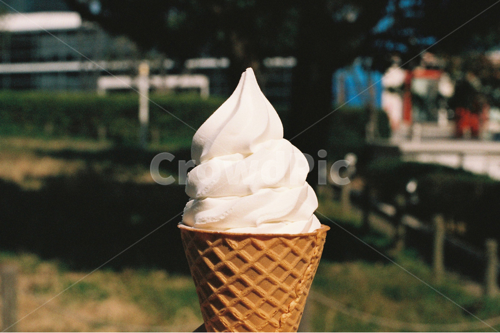 소프트아이스크림,아이스크림,여름,필름,필름카메라,여름,계절,summer,season,음식,식재료,요리,food,cook,meal,dishes,food reserves,디저트,간식,후식,dessert,snack,creme,크림,cream