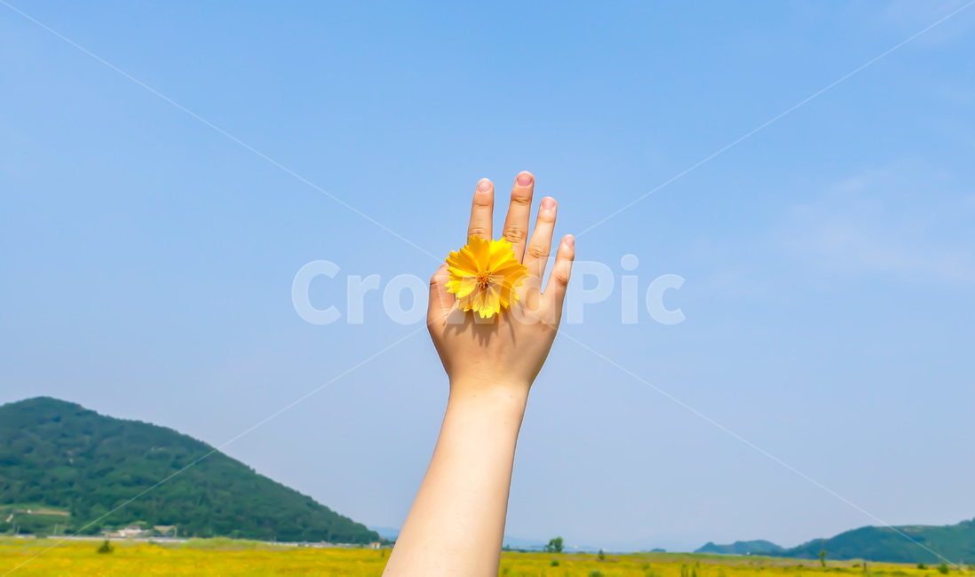 손,꽃,하늘,한적함,여유로움