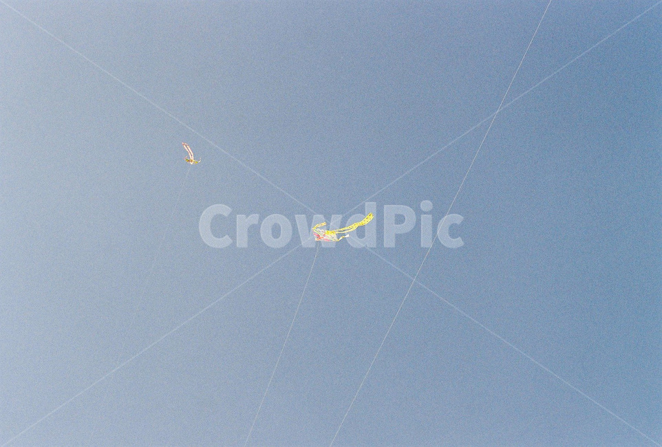 연,kite,한강,하늘,연날리기,나는,flying,가오리연,kiteflying