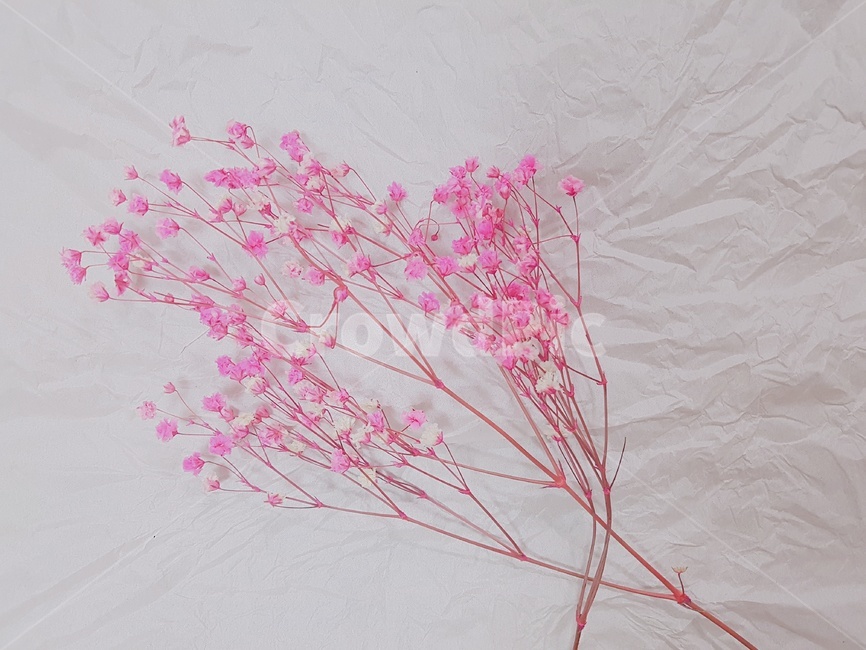 꽃,풀,조화,꽃다발,flower,bundle,꽃,flower