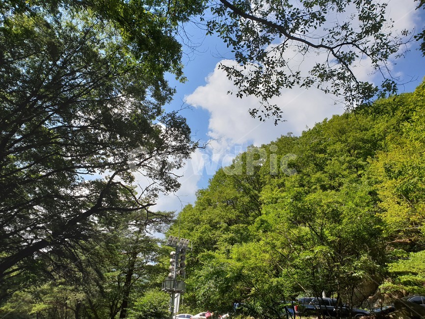 산,구름,파랑,bluesky,녹색초록,green,자연풍경,여름,나무,숲