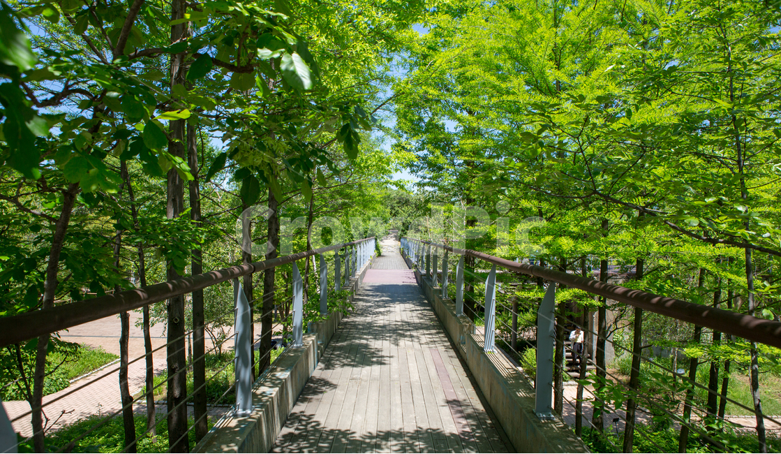 풍경,선유도공원,자연,계절,봄,여름,nature,공원,선유도,길,자연,풍경,nature,landscape,garden,정원,outdoors,옥외,arbour,정자