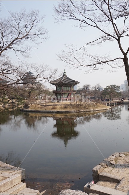 향원정,경복궁,겨울,궁궐,고궁,서울,서울가볼만한곳,한국전통,한국문화,korean traditional,korean culture,랜드마크,landmark,tourist attraction,한국랜드마크,한국관광지,한국명소,korea landmark,korea tourist attraction
