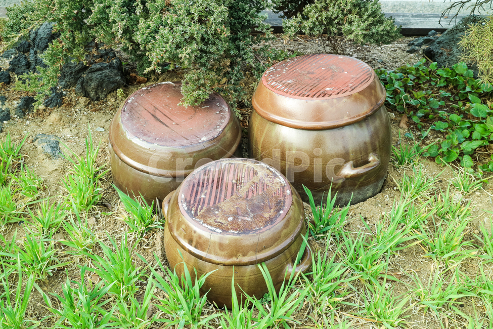 장독,장독대,항아리,한국전통,전통,민속,마당,풀,나무,옹기,한국,대한민국,한국전통,한국문화,korean traditional,korean culture,사물,물건,오브젝트,thing,object,matter