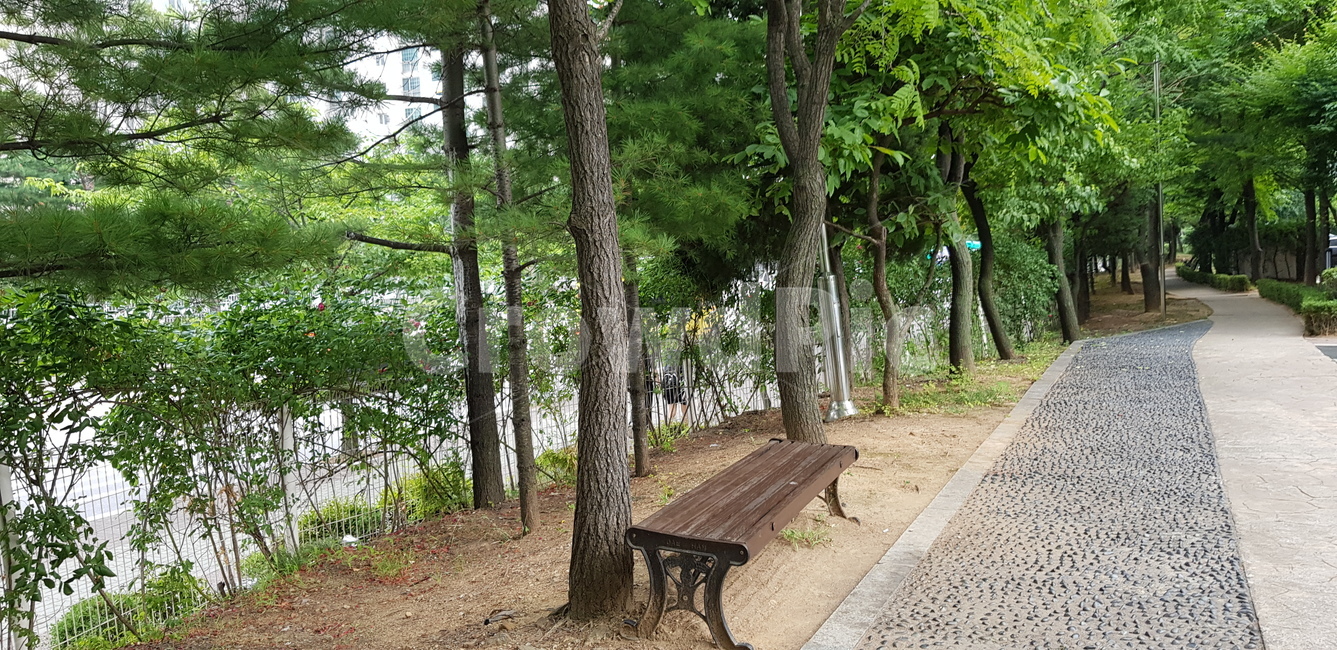 벤치길,벤치,공원길,잔디,둘레길
