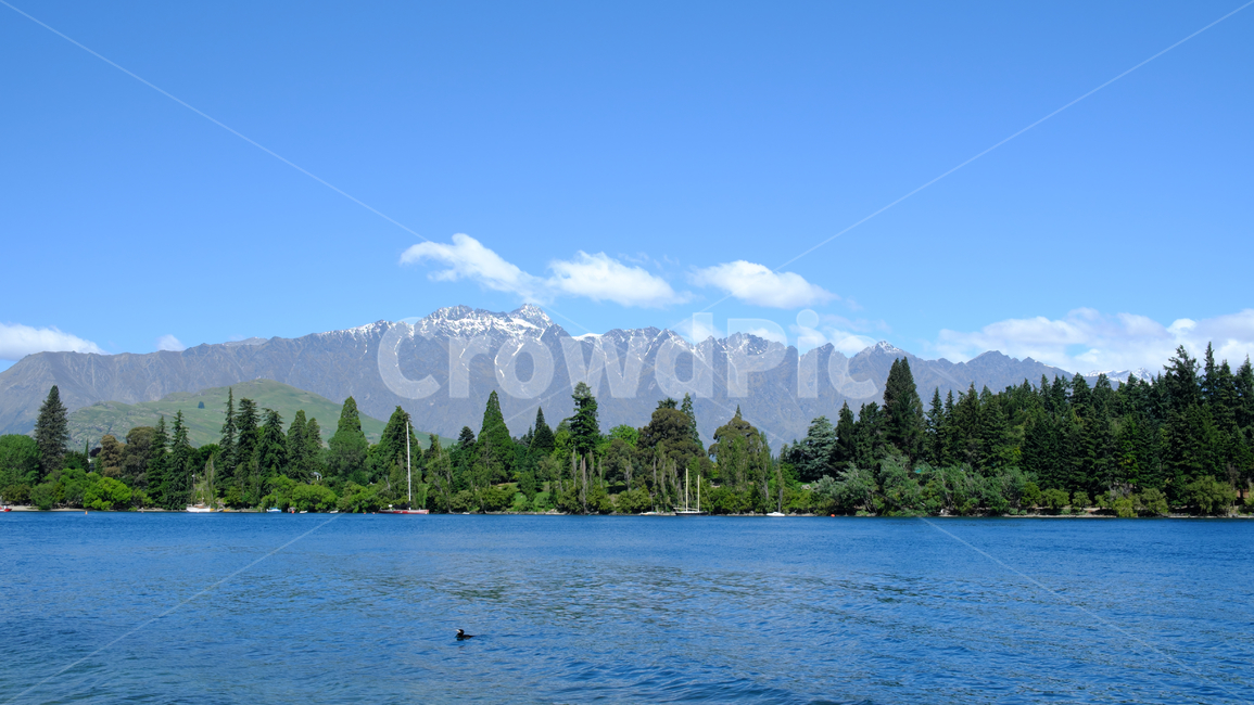 뉴질랜드,퀸즈타운,숲,배,나무,눈,자연,호수,와카티푸호수,하늘,구름,산,queenstown,nature,trees,mountain,sky,clouds