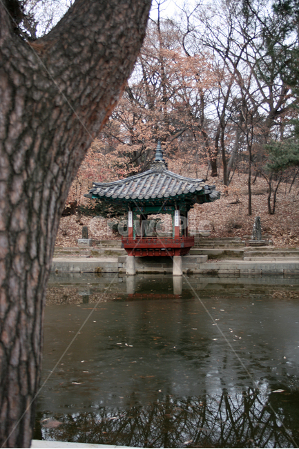 창덕궁,후원,애련정,세계문화유산,문화유산,한국,정자,한국전통,한국문화,korean traditional,korean culture,랜드마크,landmark,tourist attraction,한국랜드마크,한국관광지,한국명소,korea landmark,korea tourist attraction