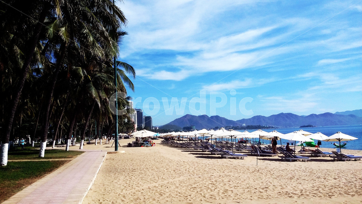 여행,풍경,베트남,해변,백사장,야자수,나트랑,vietnam,나짱,nhatrang,여름,summer,해수욕,자연,풍경,nature,landscape,해변,바다,beach,sea,해외,외국,세계,foreign,oversea,world,세계자연풍경,해외자연풍경,외국자연풍경,world nature landscape