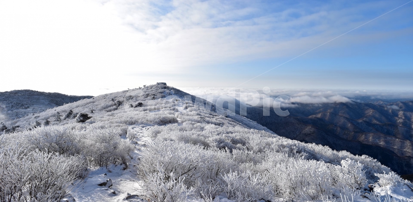 태백산,설경,상고대,눈꽃,풍경,겨울,겨울왕국,서리꽃,눈천제단,산철쭉,자연,스포츠,등산,산행,nature,snow,설국,겨울풍경,느낌,아름다운,신비로운,경이로운,다큐,필,디자인,힐링,명산,국립공원,순백,landscape,winter,season,천제단,운해,영산,파노라마,겨울,계절,winter,season,자연,풍경,nature,landscape,한국자연풍경,한국자연경관,korea nature landscape,outdoors,옥외,ice,얼음